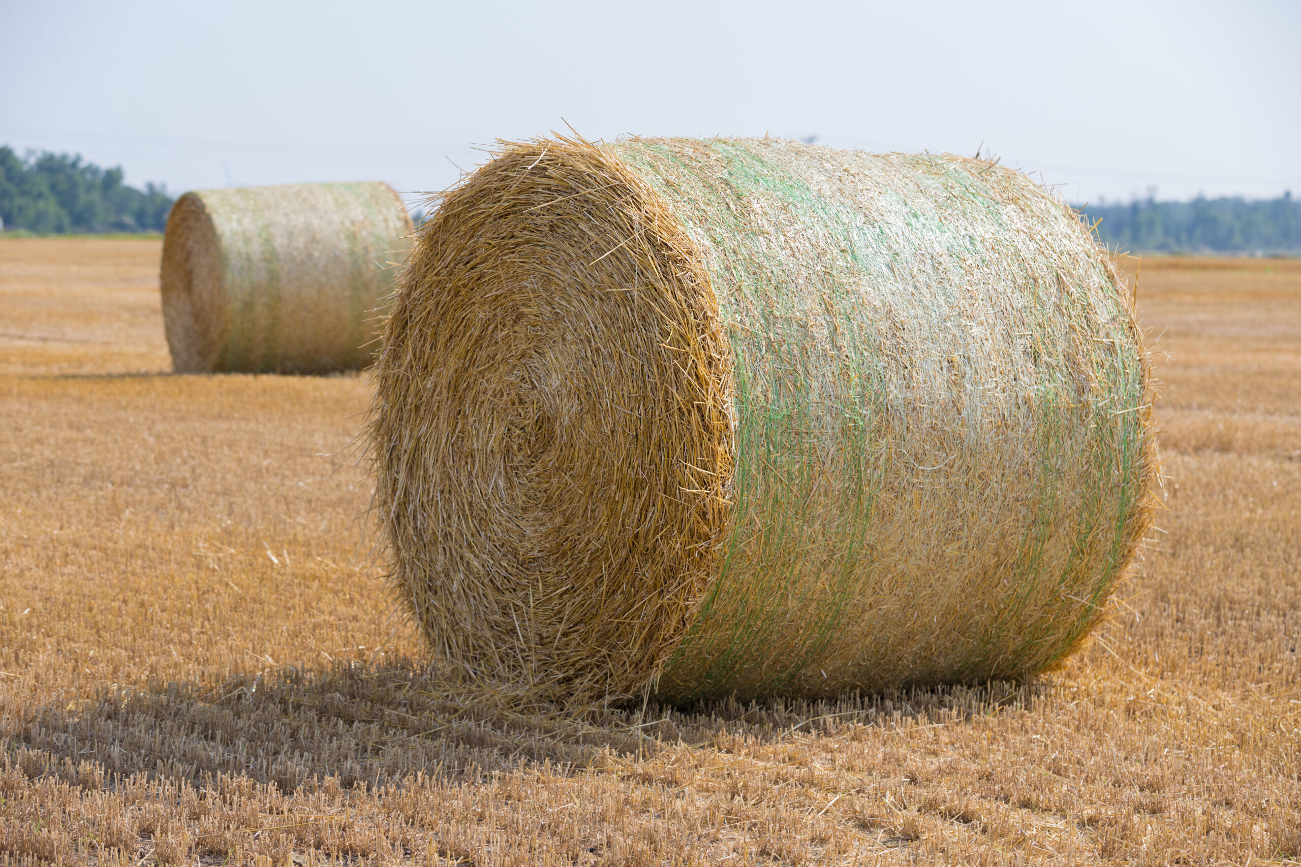 Rundballennetze von SpanierTex dienen als optimaler Ernteschutz für Heu und Stroh.